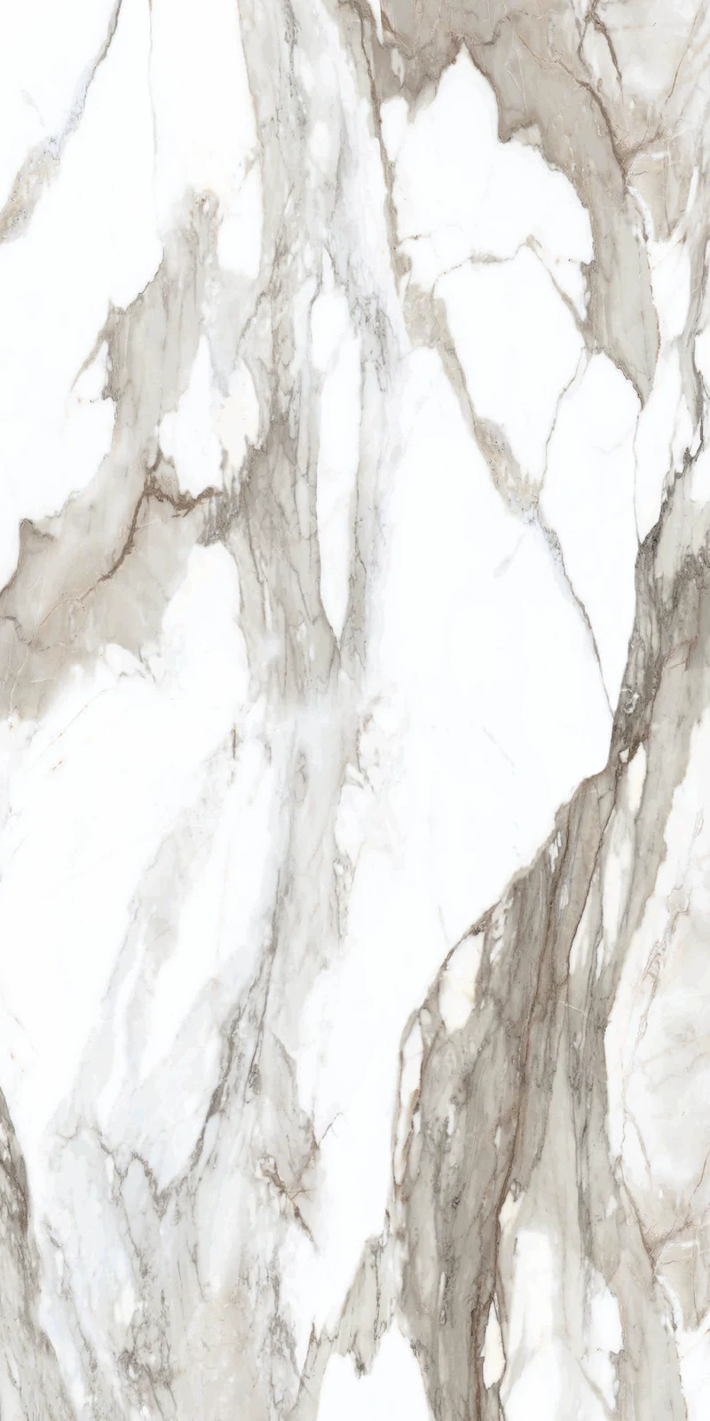 JF-10036 Classica Grigio Matte / Polished Porcelain Floor · 24 × 48 in. — color and pattern reference; finish appearance not verified
