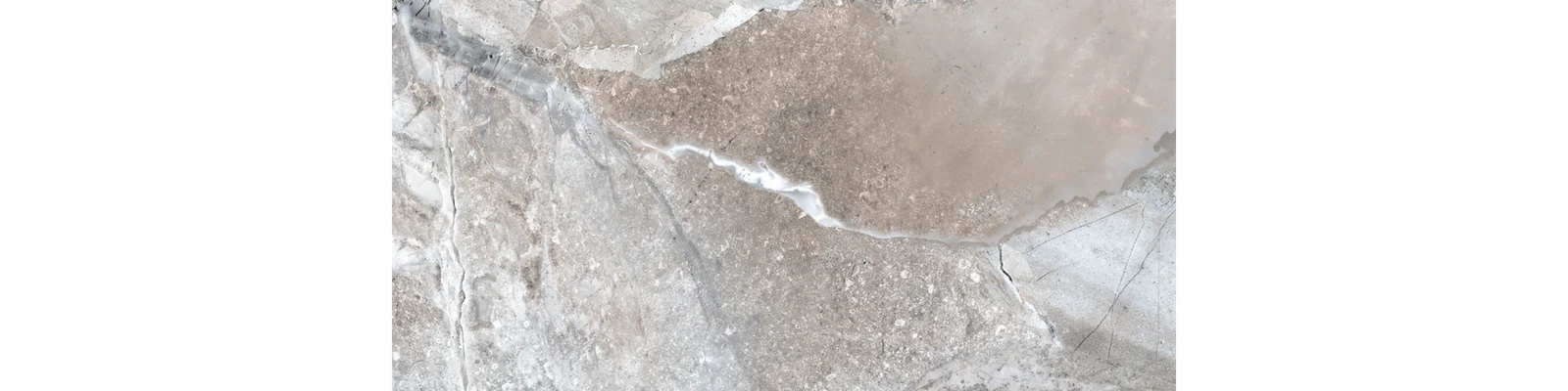 JF-10052 Fossilique Stone Crystal Gray Lappato / Polished Porcelain Floor · 12 × 24 in. — color and pattern reference; finish appearance not verified