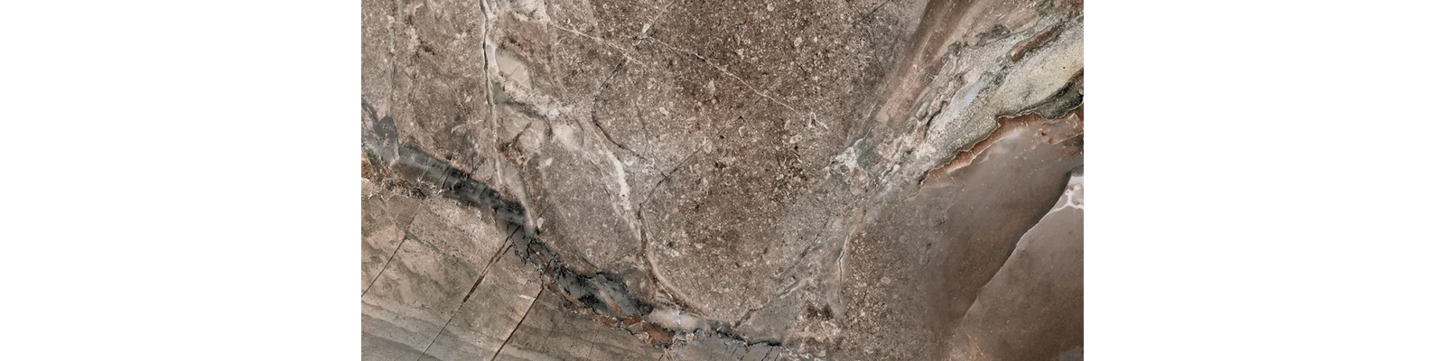 JF-10056 Fossilique Stone Mineral Umber Lappato / Polished Porcelain Floor · 12 × 24 in. — color and pattern reference; finish appearance not verified