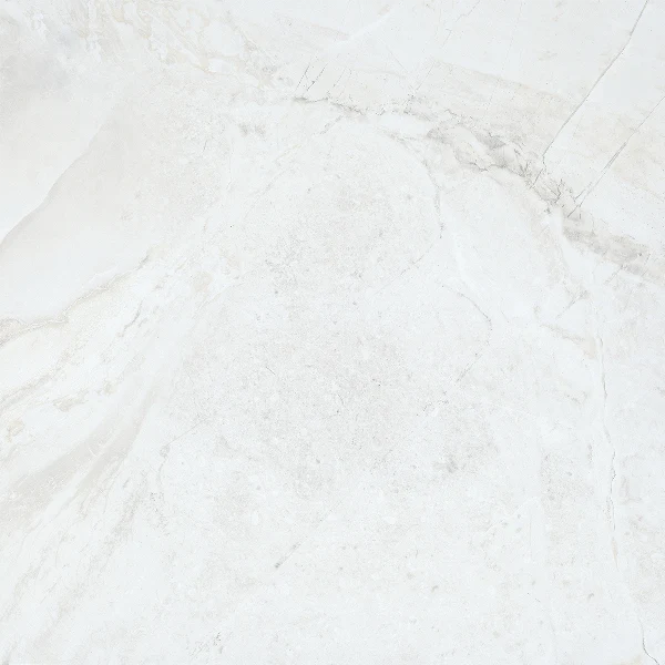 JF-10126 Marble Folio Daino Reale Matte / Polished Porcelain Floor · 24 × 24 in. — color and pattern reference; finish appearance not verified