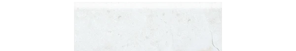 JF-10128 Marble Folio Daino Reale Matte Porcelain Bullnose · 4 × 12 in. — product material view