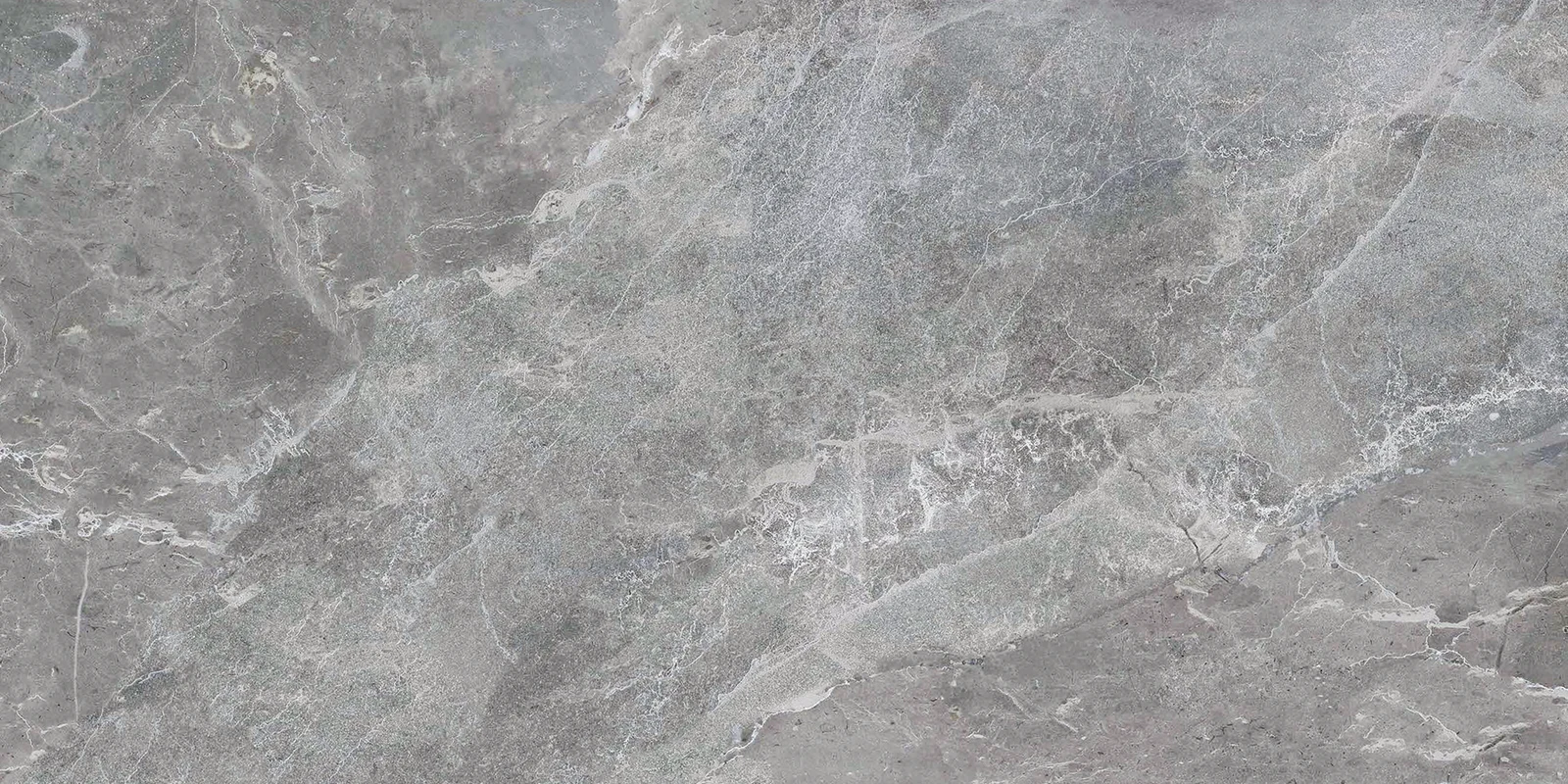 JF-10135 Meersburg Grey Porcelain Floor · 12 × 24 in. — product material view