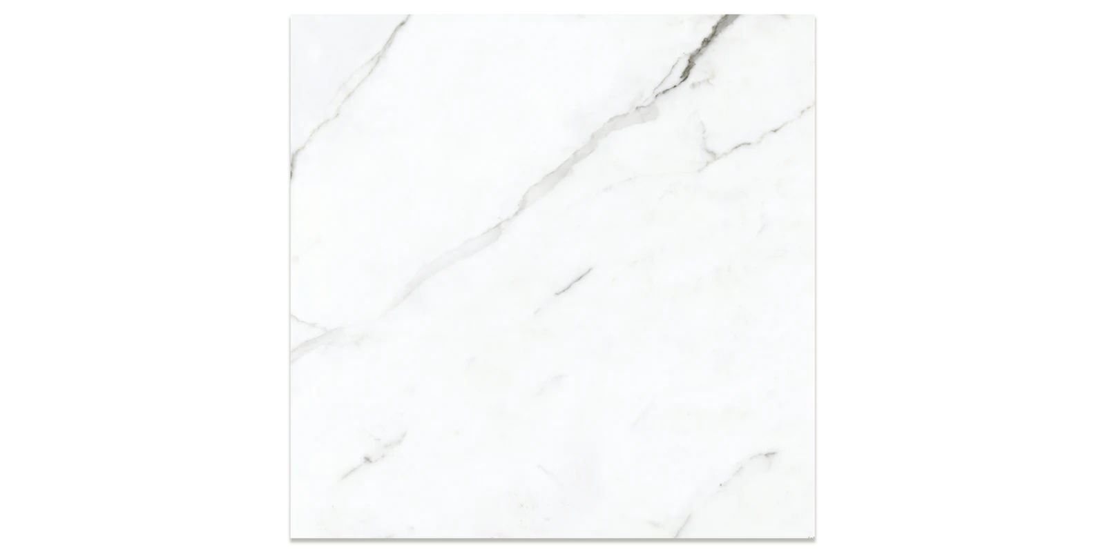 JF-10157 Preeminent II White Matte / Polished Porcelain Floor · 24 × 24 in. — color and pattern reference; finish appearance not verified