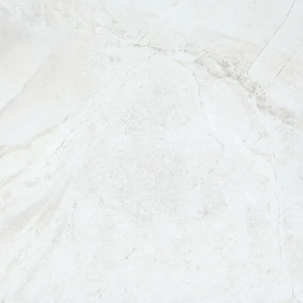 JF-10126 Marble Folio Daino Reale Matte / Polished Porcelain Floor · 24 × 24 in. — color and pattern reference; finish appearance not verified