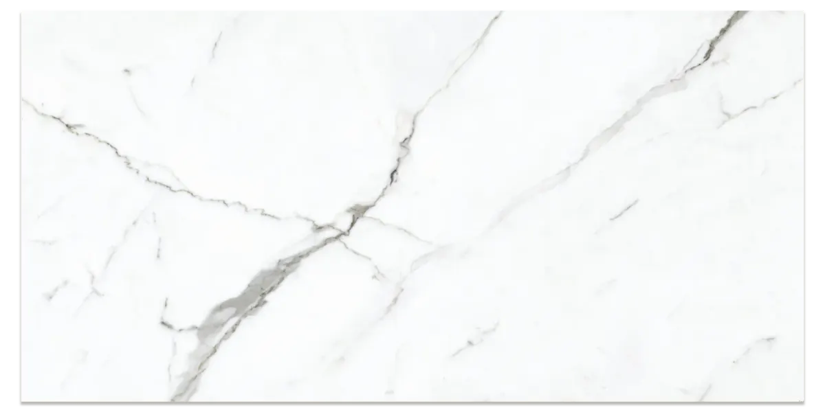 JF-10156 Preeminent II White Matte / Polished Porcelain Floor · 24 × 48 in. — color and pattern reference; finish appearance not verified