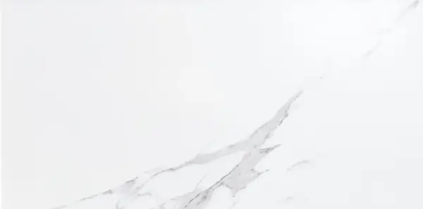 JF-10031 Cipriani Carrara White Porcelain Floor · 12 × 24 in. — product material view