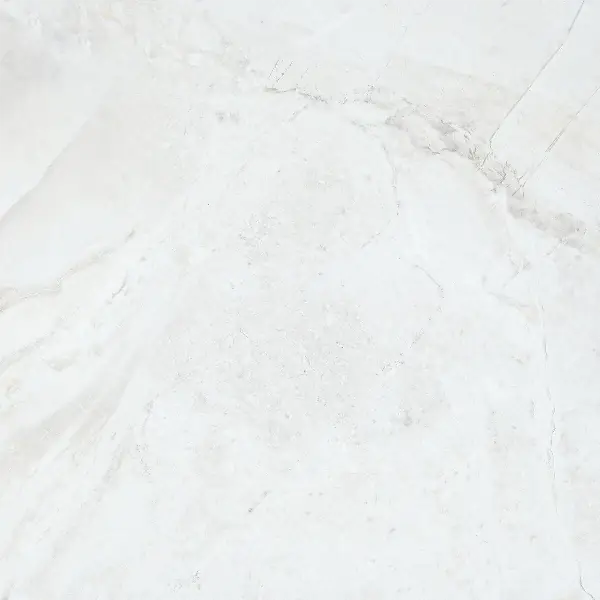 JF-10126 Marble Folio Daino Reale Matte / Polished Porcelain Floor · 24 × 24 in. — color and pattern reference; finish appearance not verified