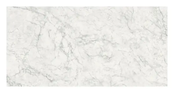 Earth Carrara 24 × 48 in. porcelain tile